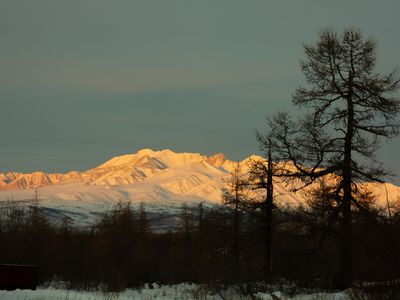 2020-12-20-07-08-36_00391