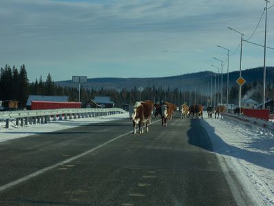 2020-12-20-09-36-07_00524